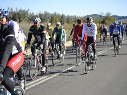 Menorial León Sanchez